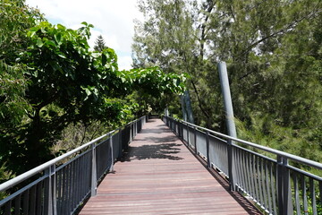 Wooden boardwalk pathway through lush tropical park in Brisbane