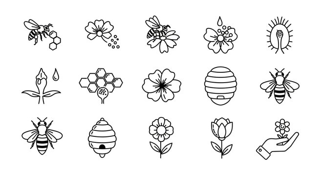 Bee and flower icons in set.
