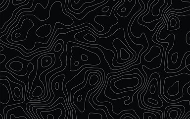 Fototapeta premium Contour Map Line Art 14
