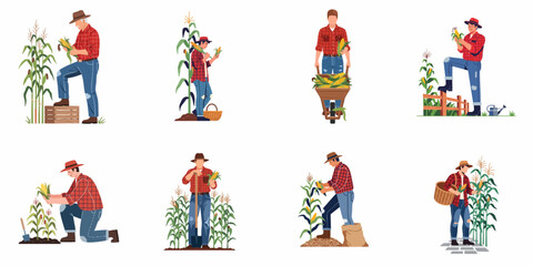 Fototapeta premium Illustration set of male farmers in plaid shirts harvesting corn in a field, featuring various poses and farm activities.