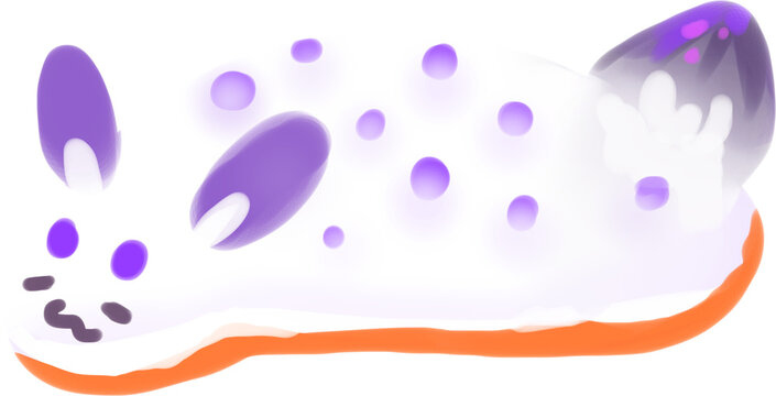 Jorunna parva(Sea bunny)