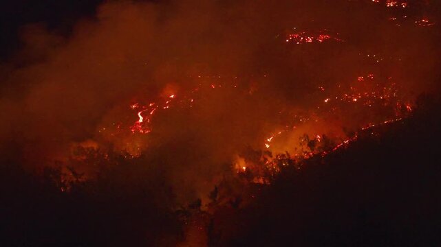France - Reunion Island - Volcanic eruption, lava in the forest going to the sea - smoky ambiance