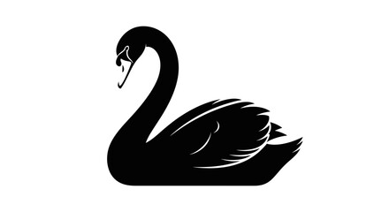 Black swan bird in profile view. © nuha