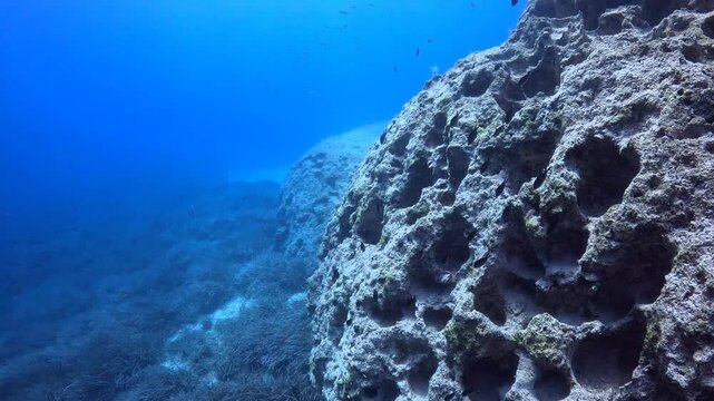 Blue ocean with the swimming fish. Marine life and rocks, vivid blue seascape. Scuba diving trip, wildlife in the sea. Scuba diving with the school of fish, travel video.