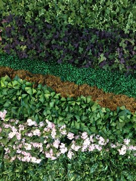 Artificial Plant Wall Nature Background
