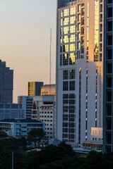 Fototapeta premium Modern office building and condominium with green tree Lumphini park sunset sky