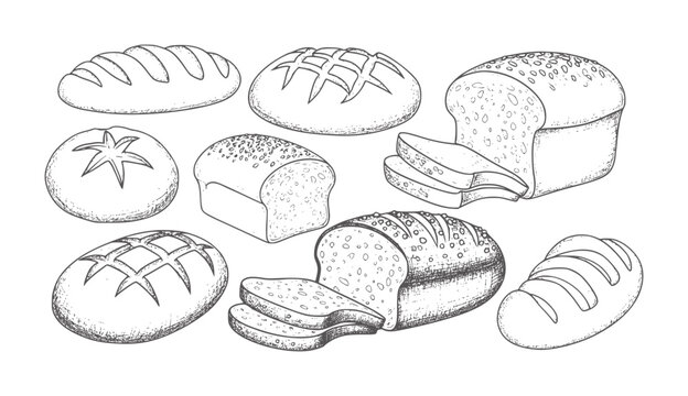 Handdrawn black and white of various types of bread loaves and slices crust