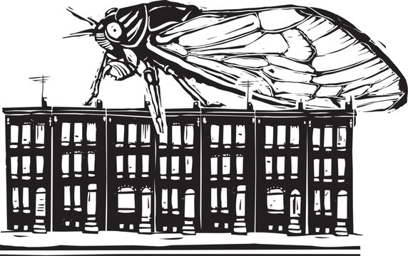 Woodcut expressionist style giant cicada on row houses