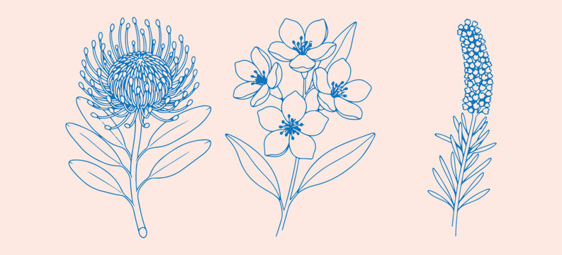 Blue spring flowers and blossoms set, hand drawn botanical floral sketches, garden bloom icon collection for design, minimalist nature plant vector graphics, organic floral elements for branding, deli