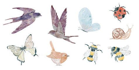 Watercolor birds, butterflies, bees, snail and ladybug. Clipart set perfect for greeting cards, invitation, spring designs. PNG file. © Olesya Frolova