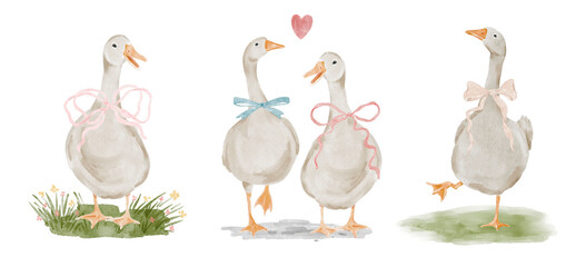 Watercolor scenes with cute gooses and green grass. Spring composition set perfect for  greeting cards, invitation, easter designs. PNG file. © Olesya Frolova