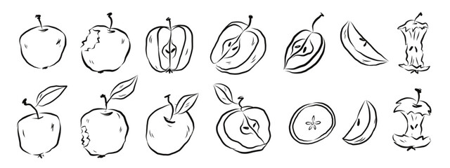Fototapeta premium Apple variety outline fruit set. Collection of different apple shapes and varieties drawn in simple line art style. Vector hand drawn illustration.