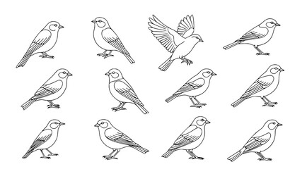 Fototapeta premium Minimal bird line art set black and white