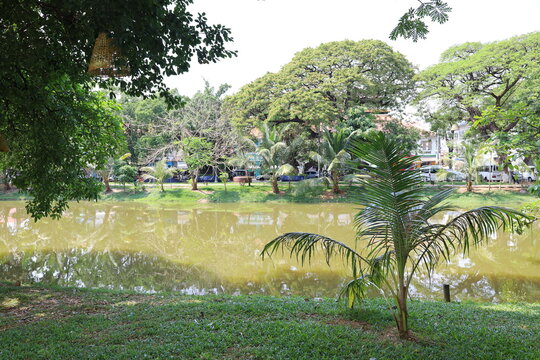 Siem reap city in Cambodia downtown daytime