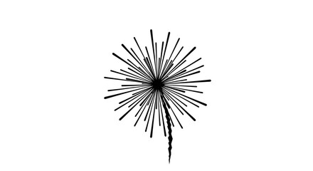 Obraz premium Black Dandelion Seed Head Closeup.