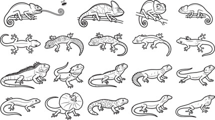 Fototapeta premium A collection of various lizards in grayscale, offering a detailed illustration of reptilian biodiversity. 