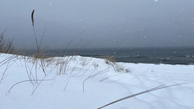 Video of a winter coastal landscape, viewed from snowy dunes toward the sea. Snow covers the sand and surroundings, creating a serene and cold atmosphere. Perfect for seasonal, nature, or winter conce