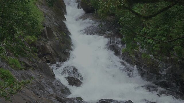 Rushing water cascades over mossy rocks. Green foliage frames the wild, untamed stream. Foam swirls as water tumbles in natural rhythm. Sound of rushing water creates peaceful, calming atmosphere