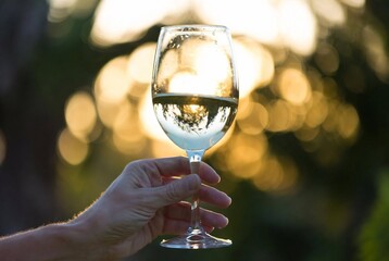 Naklejka premium A hand holds a wine glass with a reflection of the sunset, suggesting relaxation in a vineyard.