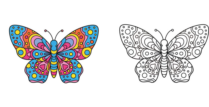 Colorful and Line Art Butterfly Illustration for Adult Coloring Book Mandala Style Vector Design