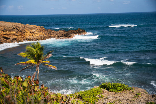 Near the coast in martinique - French Antilles