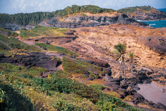 Landscapes in martinique, French Antilles