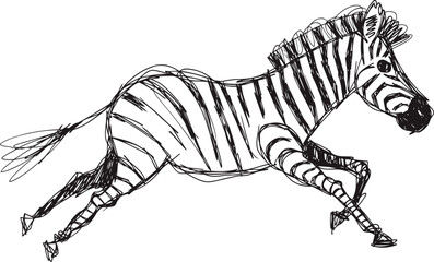 Fototapeta premium Running zebra illustration hand drawn wild african animal with stripes, maneuvering and galloping in nature