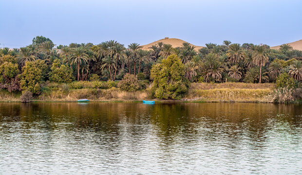 Small boats on the bank of the Nile, Egypt