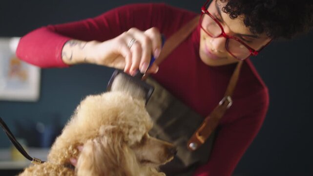 A person grooms a dog in a shop. The groomer uses clippers while the dog sits on a table. The setting is a well-lit grooming area. Tools are arranged neatly nearby.