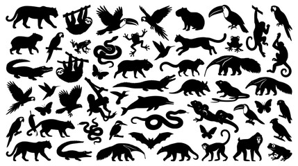Fototapeta premium Large collection of forty tropical rainforest animal silhouettes featuring exotic birds mammals and reptiles