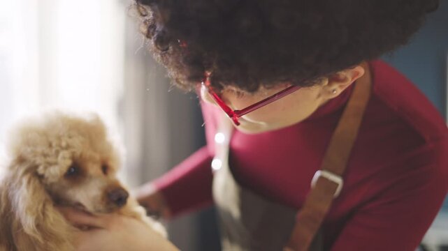 A person is grooming a poodle in a salon. The groomer carefully washes and brushes the dog's fur. The poodle looks calm while receiving care and attention.