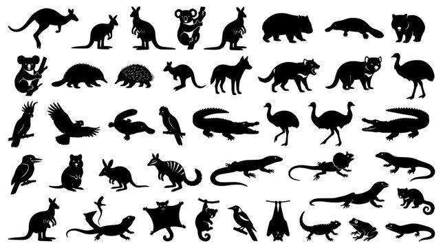 Comprehensive collection of thirty four black silhouettes representing iconic Australian wildlife and native fauna