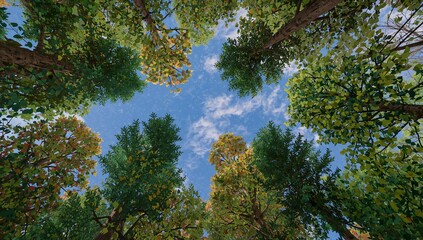 Obraz premium Framing trunks and branches with leaf and needle canopy from ground, showing blue sky and clouds