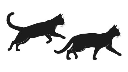 Two black silhouettes of cats in dynamic stalking poses against a white background © Payara