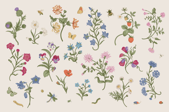 Flowers of the meadow. Set. Vintage vector floral illustration. Motif. Inspired by hand embroidery. Colorful