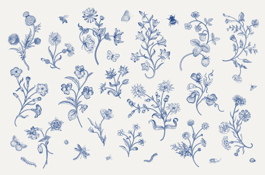 Flowers of the meadow. Set. Vintage vector floral illustration. Motif. Inspired by hand embroidery. Blue and white