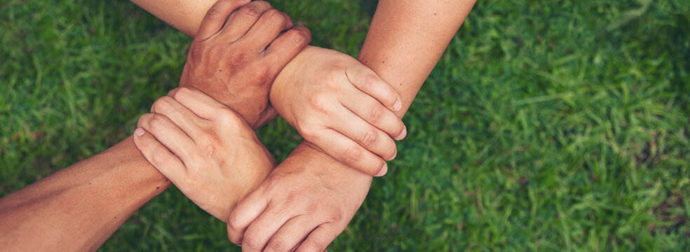 Banner Green business hands partners holding small tree plant eco company. Hand together trust mission team green hands stacked. Banner sustainable collaborate business green company with copy space
