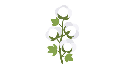 Obraz premium Cotton plant illustration, vector style graphic, for agriculture and farming, isolated design
