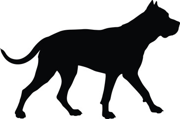 Fototapeta premium Black silhouette of a strong dog walking, representing breeds like pitbull, cane corso, or mastiff for pet care and security