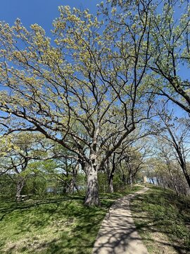 Walking Path at Mines of Spain in Dubuque, Iowa