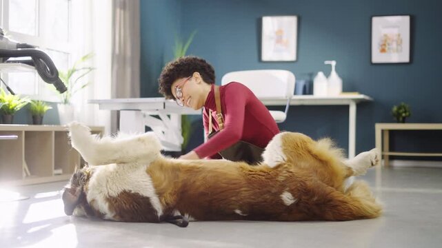 A person pets a dog lying on its back in a room. The owner seems happy while interacting with the dog. The setting has plants and simple furniture around.