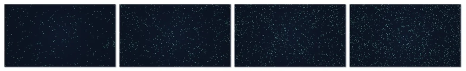 This technology background set features four dark blue backgrounds with a dense network of connected teal dots, creating an abstract digital pattern © Quardia Inc.