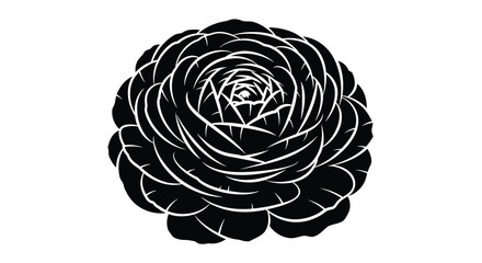 A striking black and white silhouette depicts a fully bloomed ranunculus flower with intricate details © Pvect02