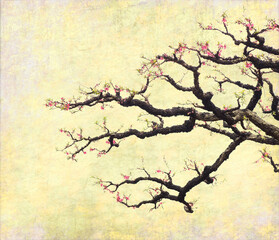 Obraz premium peach blossom on Old antique vintage paper background