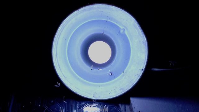 termites flying in the light