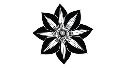A striking black and white illustration depicts a detailed symmetrical flower with pointed petals © Pvect02