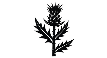 A striking black silhouette depicts a thistle flower with sharply pointed leaves and a sturdy stem © Pvect02