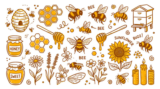 Honey bee collection with honeycomb and flowers