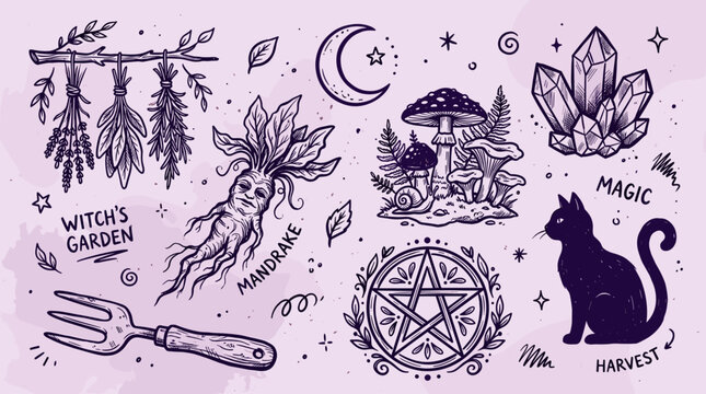 Witchcraft and occult elements collection with mandrake cat and magic symbols