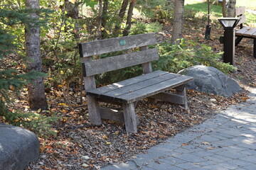 Fototapeta premium rustic wooden plank bench between boulders in shade beside paved path in autumn (seasonal)